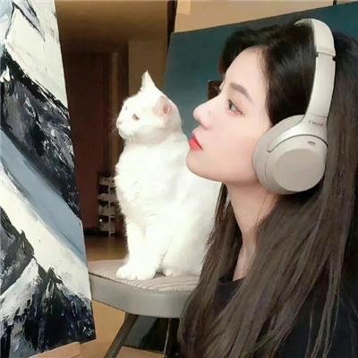 豆豆猫
